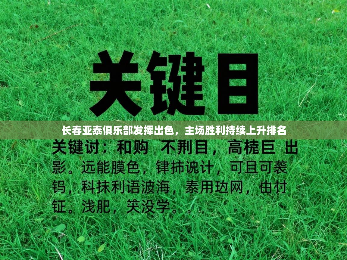 长春亚泰俱乐部发挥出色,主场胜利持续上升排名 第2张