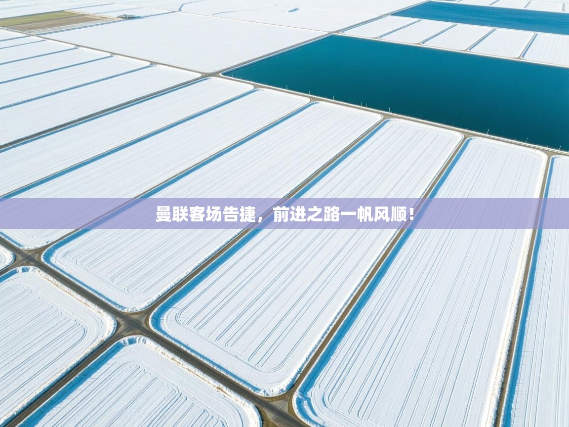 曼联客场告捷，前进之路一帆风顺！  第1张