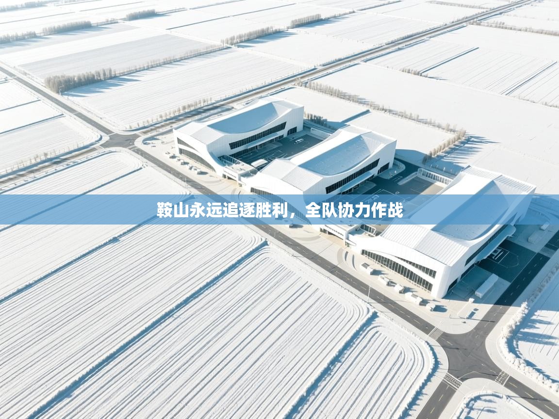 鞍山永远追逐胜利,全队协力作战 第1张