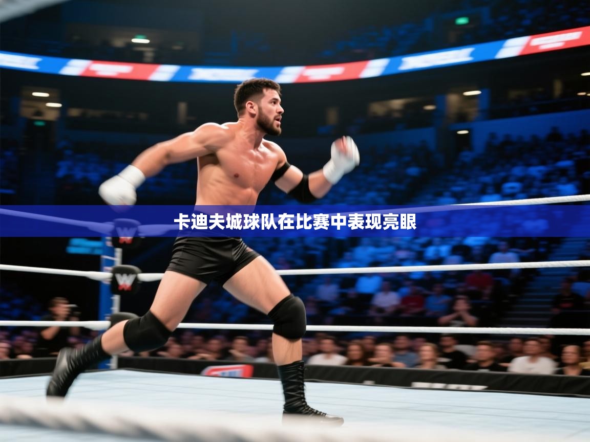 卡迪夫城球队在比赛中表现亮眼  第1张